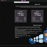 bitcoinfan.biz screenshot