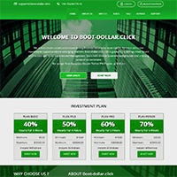 boot-dollar.click screenshot