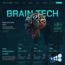 braintech.digital screenshot