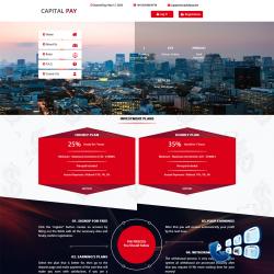 capitalpay.site screenshot