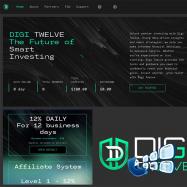 digi-twelve.com screenshot