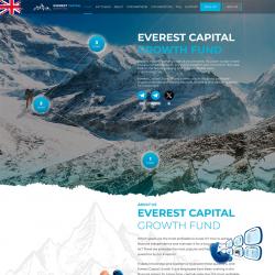 everest-capital.top screenshot