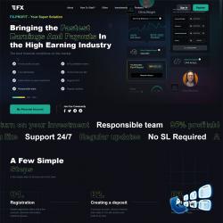 fx-profit.net screenshot