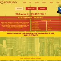 hourlyfox.biz screenshot