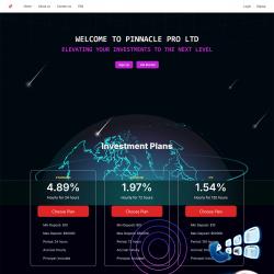 pinnaclepro.online screenshot