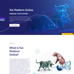 tuk-platform.online screenshot