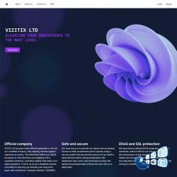 vizitix.online screenshot