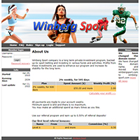 winberg-sport.com screenshot
